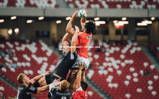 欧博官网-南安普顿德比战胜对手，豪取主场胜利，南安普顿首发