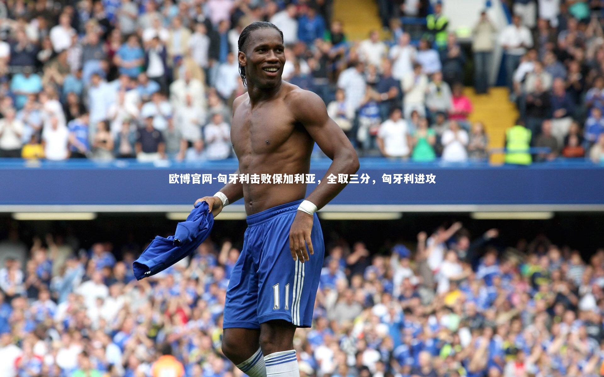 欧博官网-匈牙利击败保加利亚，全取三分，匈牙利进攻-第1张图片-欧博官网